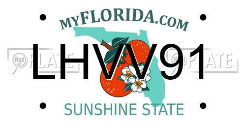 LHVV91 Florida License Plate