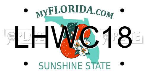 LHWC18 Florida License Plate