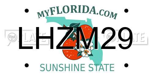 LHZM29 Florida License Plate