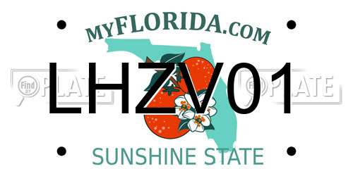 LHZV01 Florida License Plate