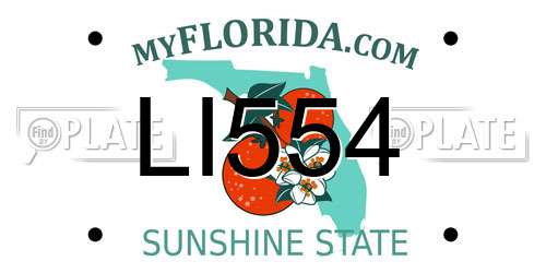 LI554 Florida License Plate
