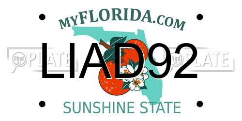 LIAD92 Florida License Plate