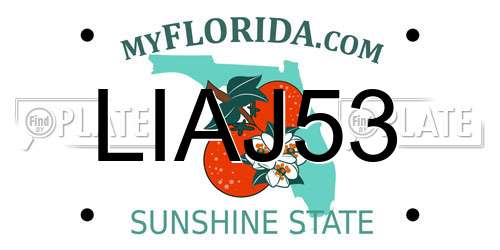 LIAJ53 Florida License Plate