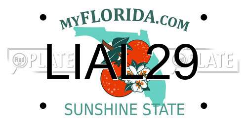 LIAL29 Florida License Plate