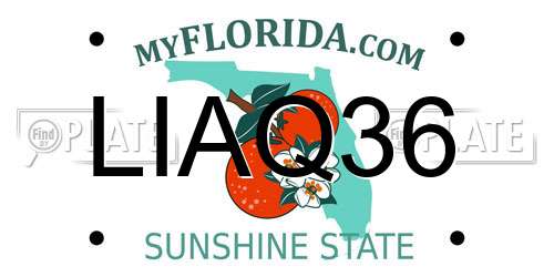 LIAQ36 Florida License Plate