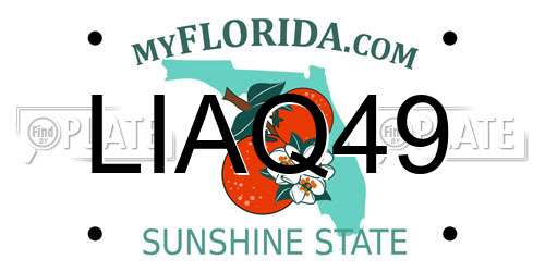 LIAQ49 Florida License Plate