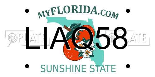 LIAQ58 Florida License Plate