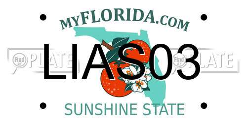 LIAS03 Florida License Plate