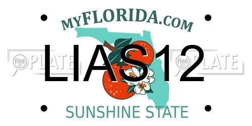 LIAS12 Florida License Plate