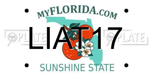 LIAT17 Florida License Plate