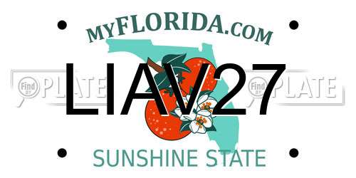 LIAV27 Florida License Plate
