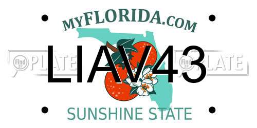 LIAV43 Florida License Plate