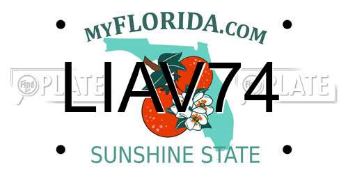 LIAV74 Florida License Plate