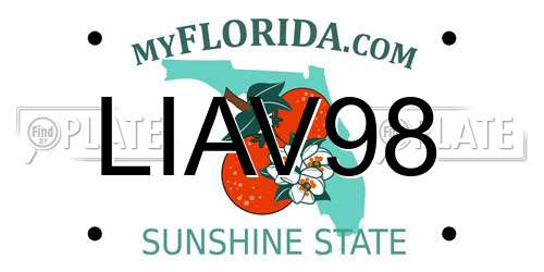 LIAV98 Florida License Plate