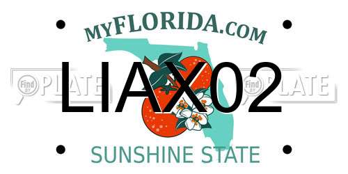 LIAX02 Florida License Plate