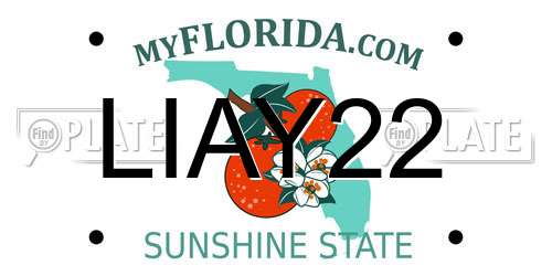 LIAY22 Florida License Plate
