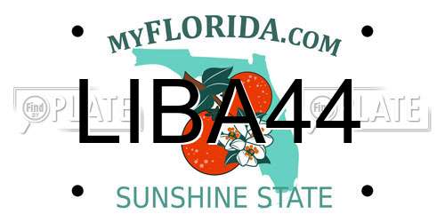 LIBA44 Florida License Plate