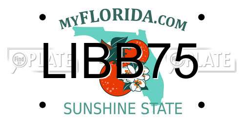 LIBB75 Florida License Plate