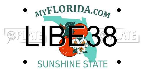 LIBE38 Florida License Plate