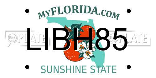 LIBH85 Florida License Plate