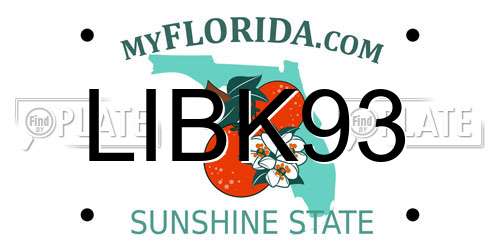LIBK93 Florida License Plate
