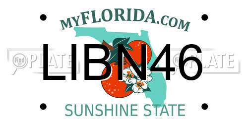 LIBN46 Florida License Plate