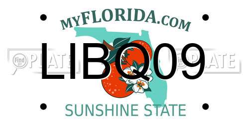 LIBQ09 Florida License Plate