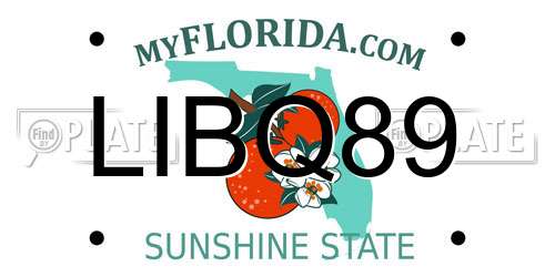 LIBQ89 Florida License Plate