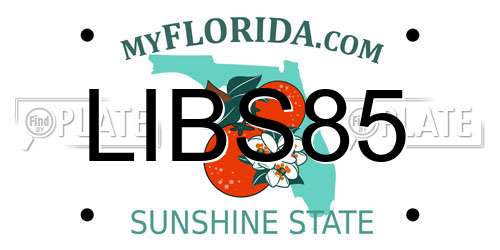 LIBS85 Florida License Plate