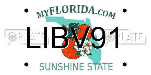 LIBV91 Florida License Plate