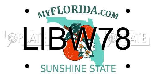 LIBW78 Florida License Plate