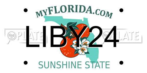 LIBY24 Florida License Plate
