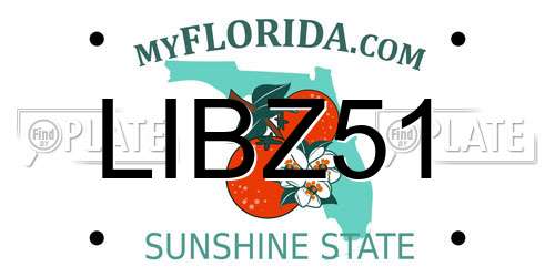 LIBZ51 Florida License Plate
