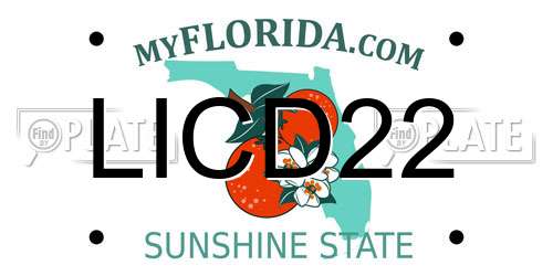LICD22 Florida License Plate