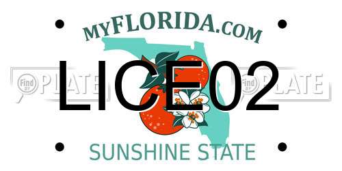 LICE02 Florida License Plate