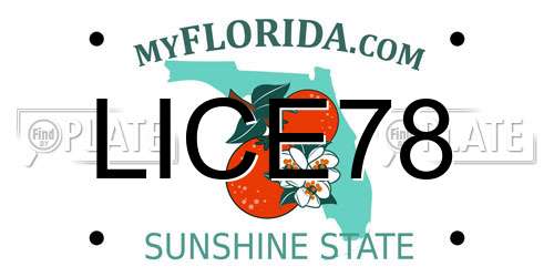 LICE78 Florida License Plate