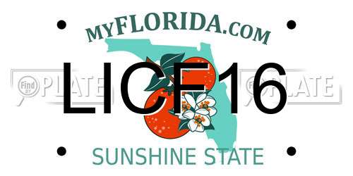 LICF16 Florida License Plate