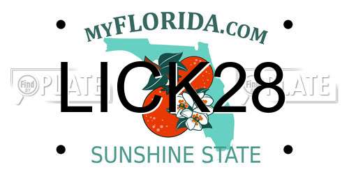 LICK28 Florida License Plate