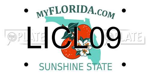LICL09 Florida License Plate