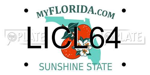 LICL64 Florida License Plate