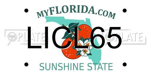 LICL65 Florida License Plate