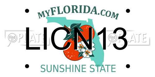 LICN13 Florida License Plate