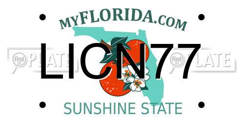 LICN77 Florida License Plate