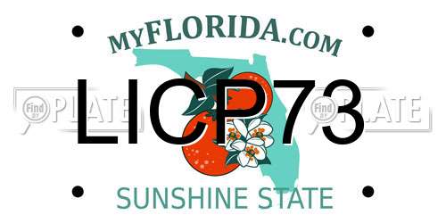 LICP73 Florida License Plate