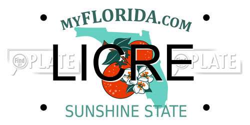 LICRE Florida License Plate