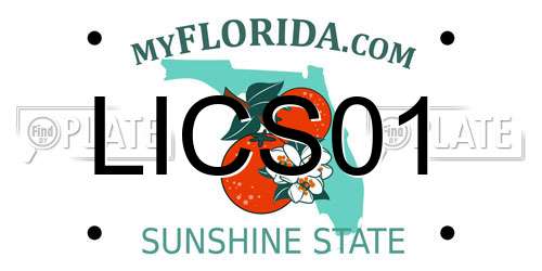 LICS01 Florida License Plate