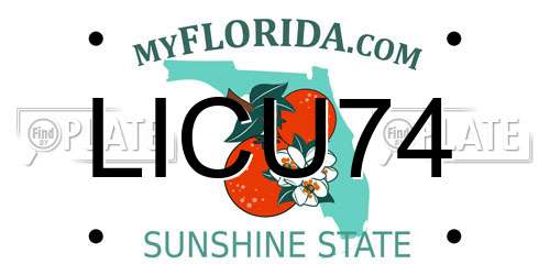 LICU74 Florida License Plate