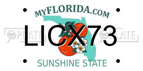 LICX73 Florida License Plate
