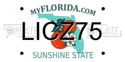 LICZ75 Florida License Plate