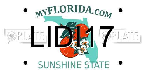 LIDI17 Florida License Plate